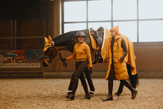 Winter schooling ideas for horses