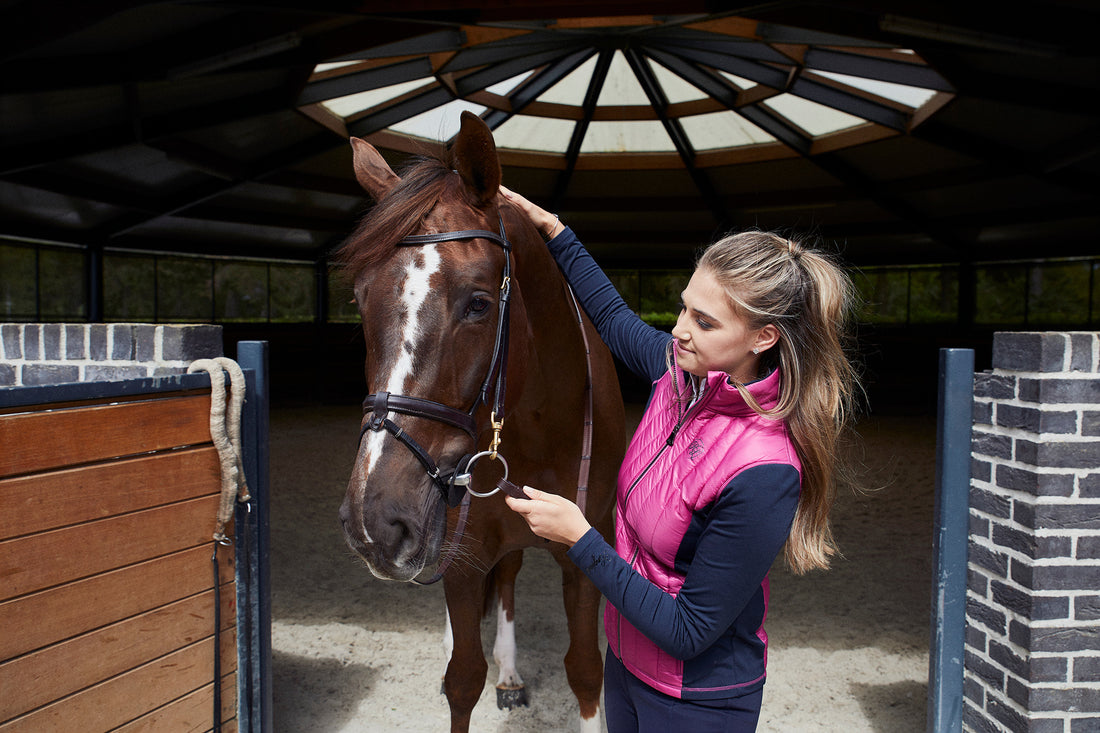 Proprioceptive training - prevent injury and enhance the horse's performance