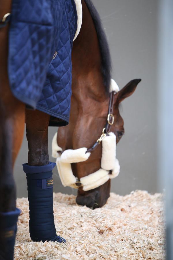 Stabling during winter