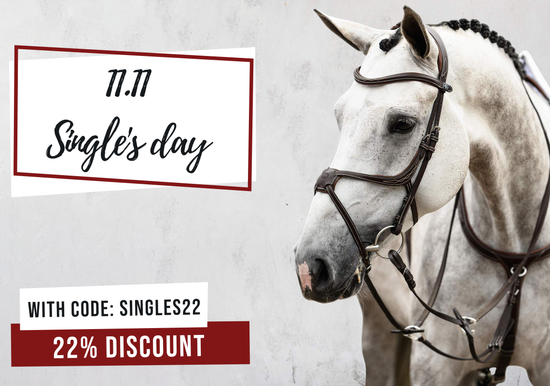 SINGLES DAY 11.11