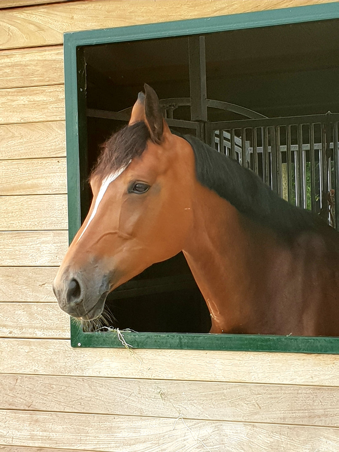 The art of perfecting your riding position