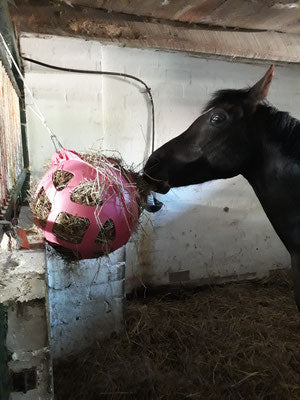 Hay Slow Feeder- Produkttest