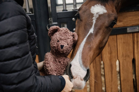 7 Christmas Gifts Ideas for Equestrians