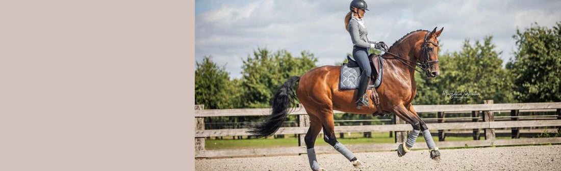 Equestrian Stockholm