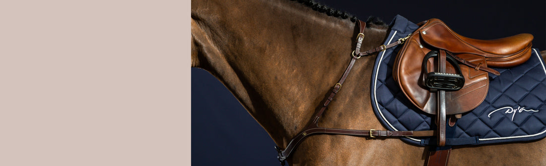 Breastplates & Martingales