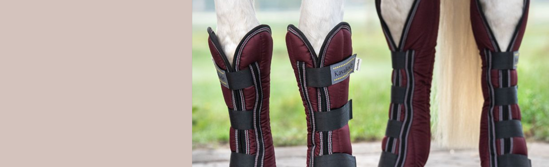 Travel Boots
