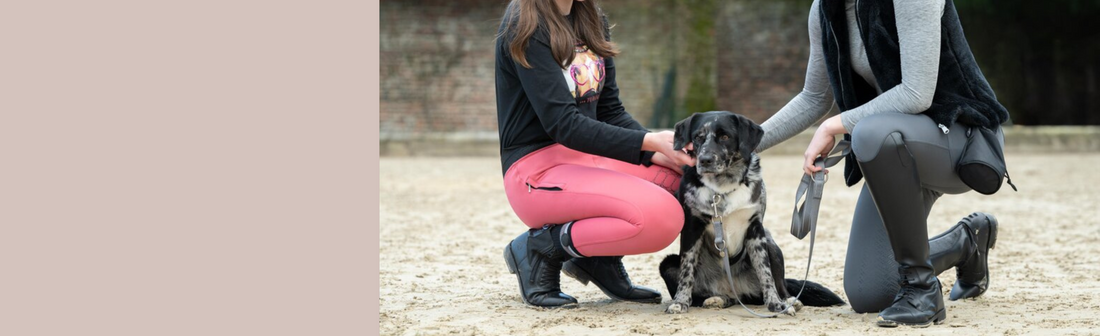 Children's Breeches