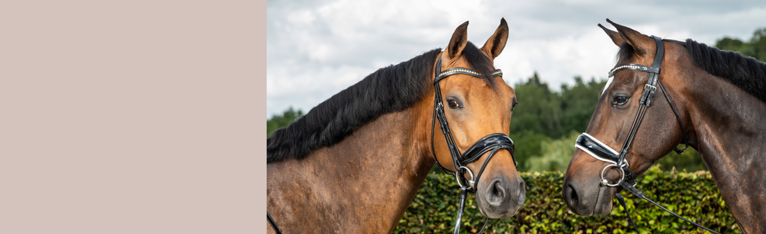 Browbands