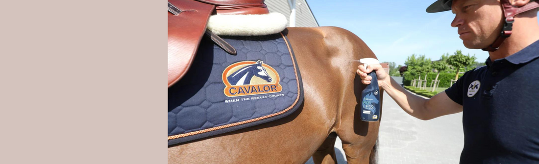 Cavalor