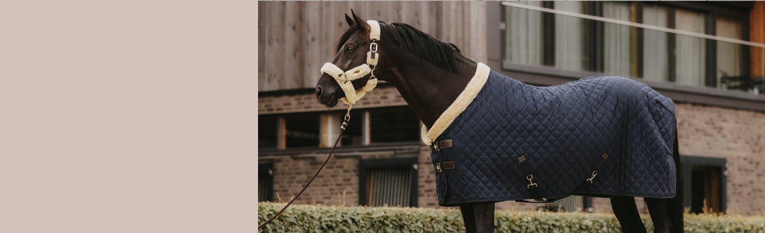 Kentucky Horsewear