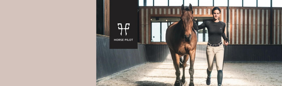 Horse Pilot