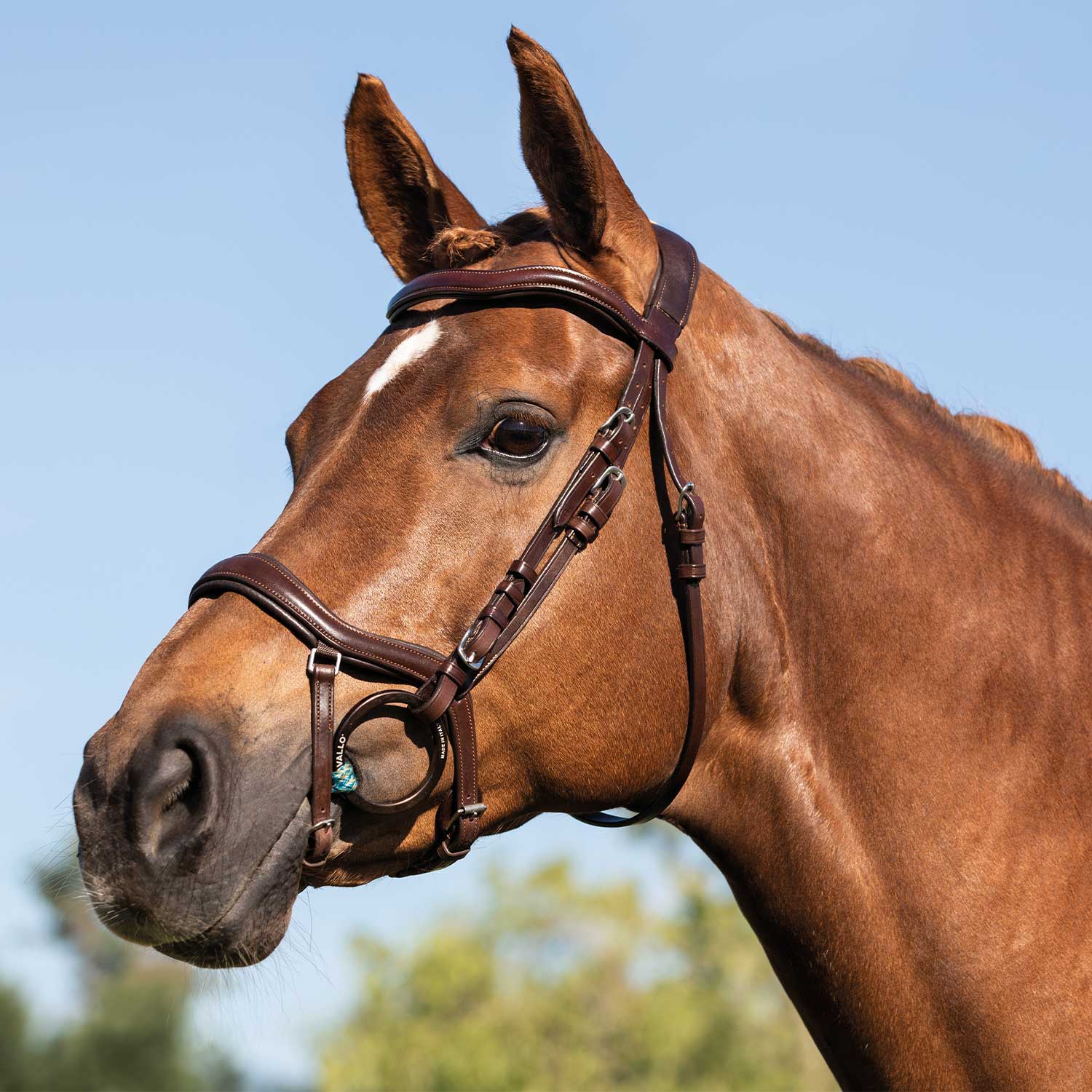 Acavallo anatomic bridle