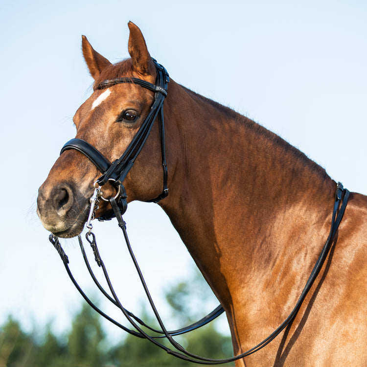 Rolled Leather Double Bridle