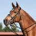 Dressage double bridle with white padding