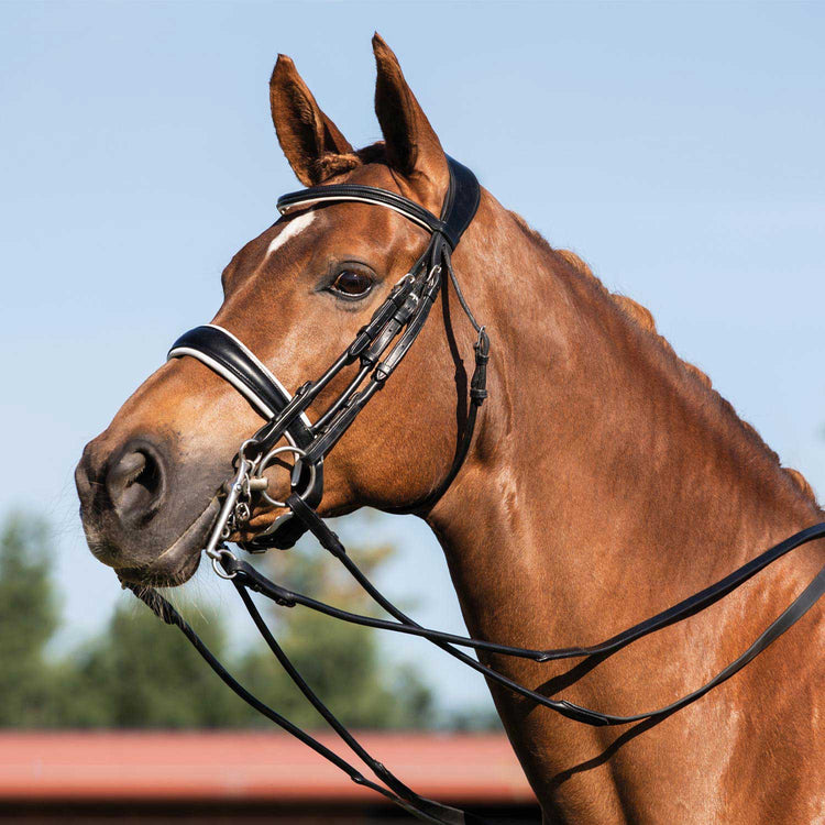 Dressage double bridle with white padding