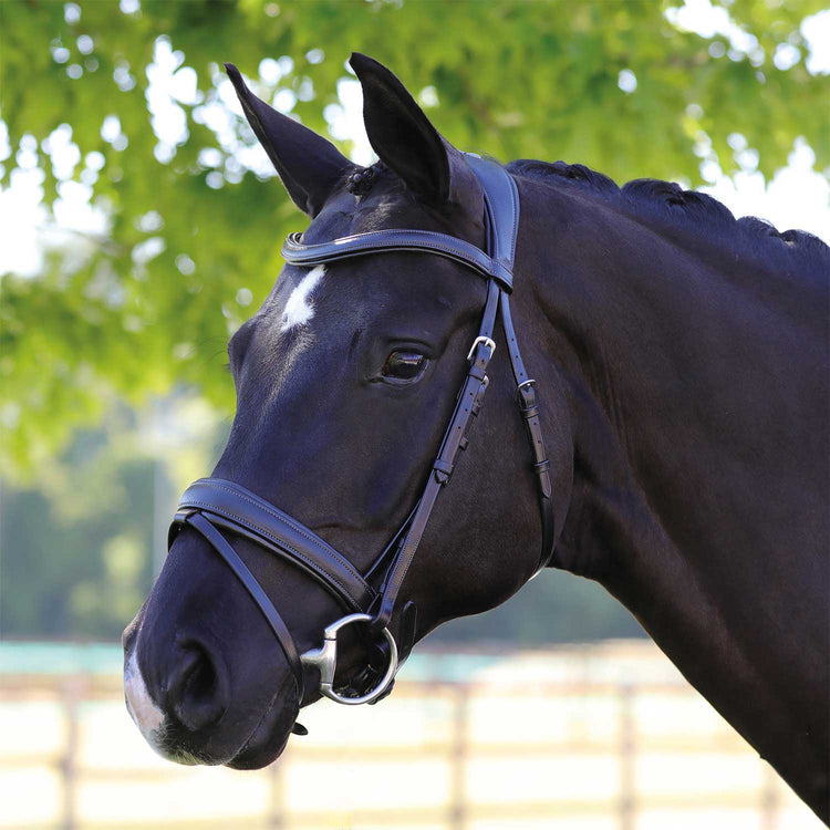 Wide headpiece anatomic bridle