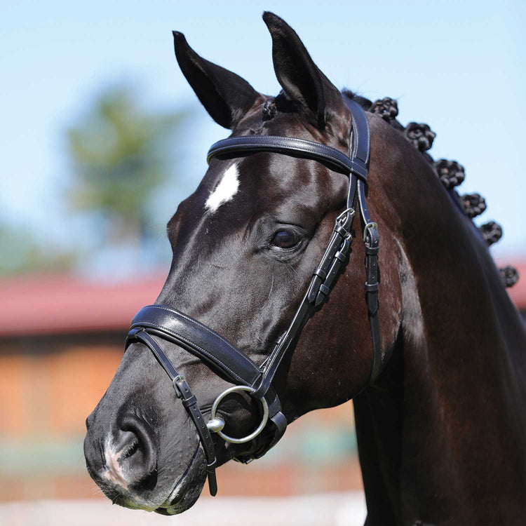 Acavallo Dressage Work Bridle