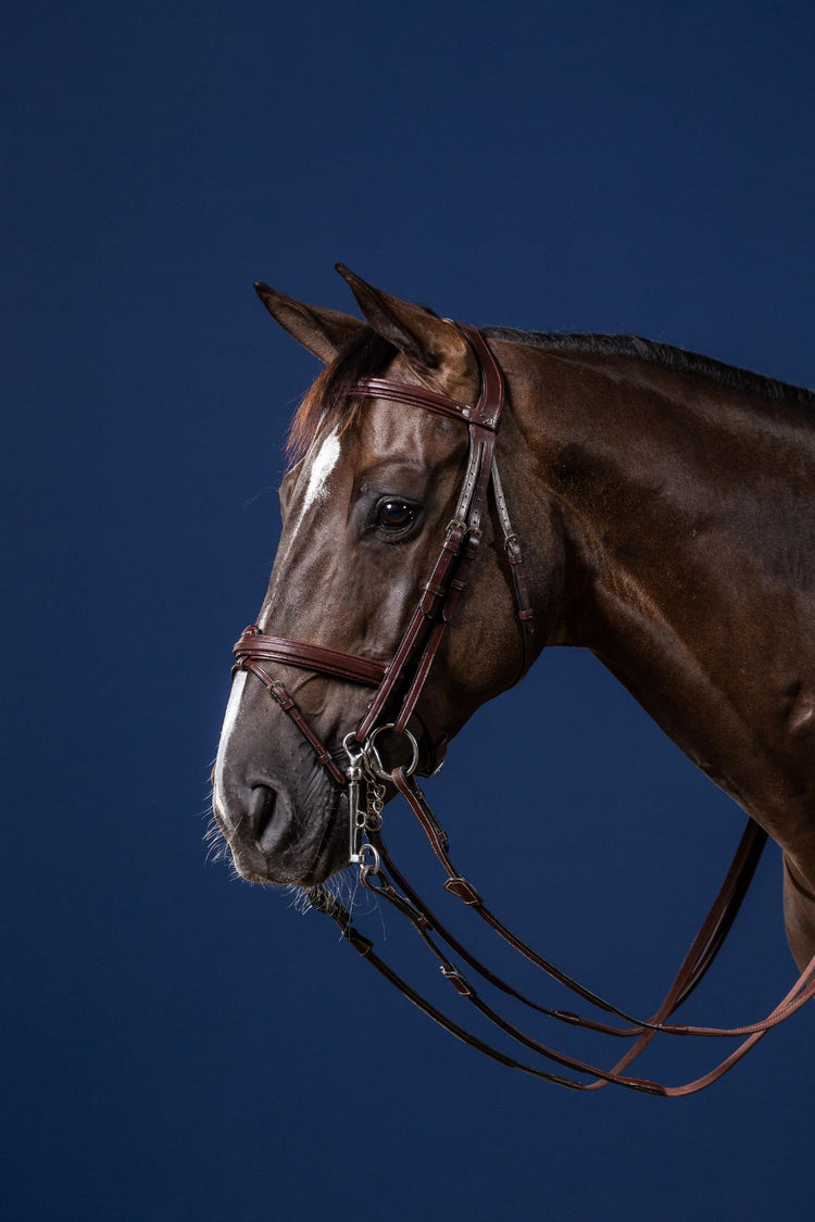 jumping double bridle