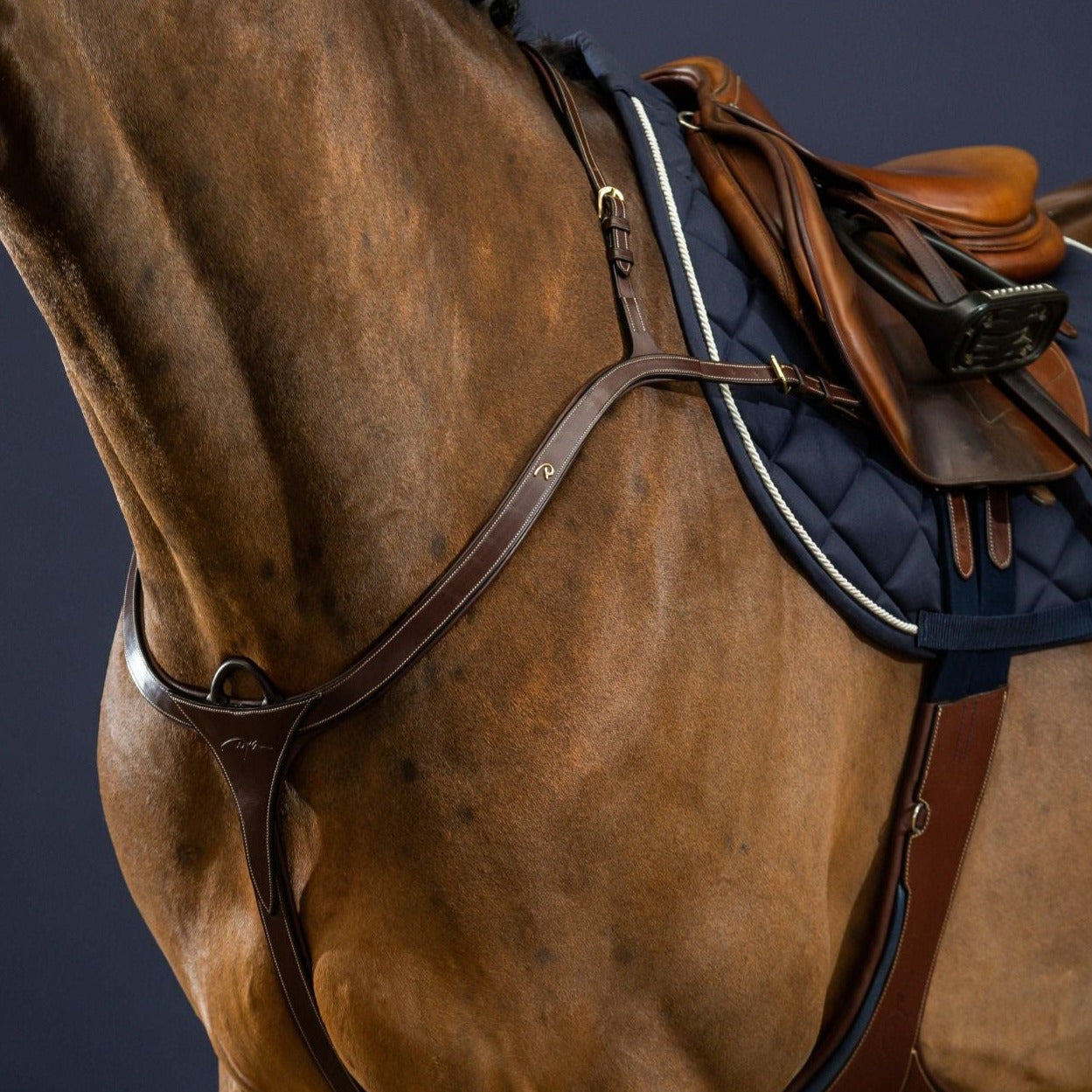 Anatomic Breastplate for show jumping