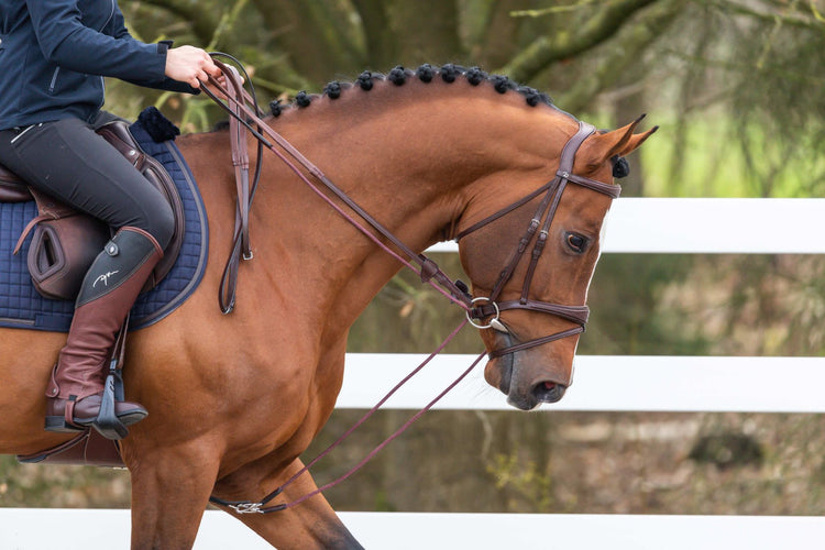 leather nylon draw reins