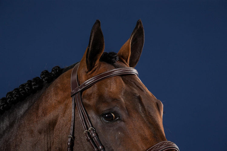 leather browband