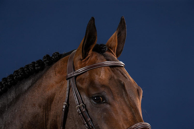 straight browband