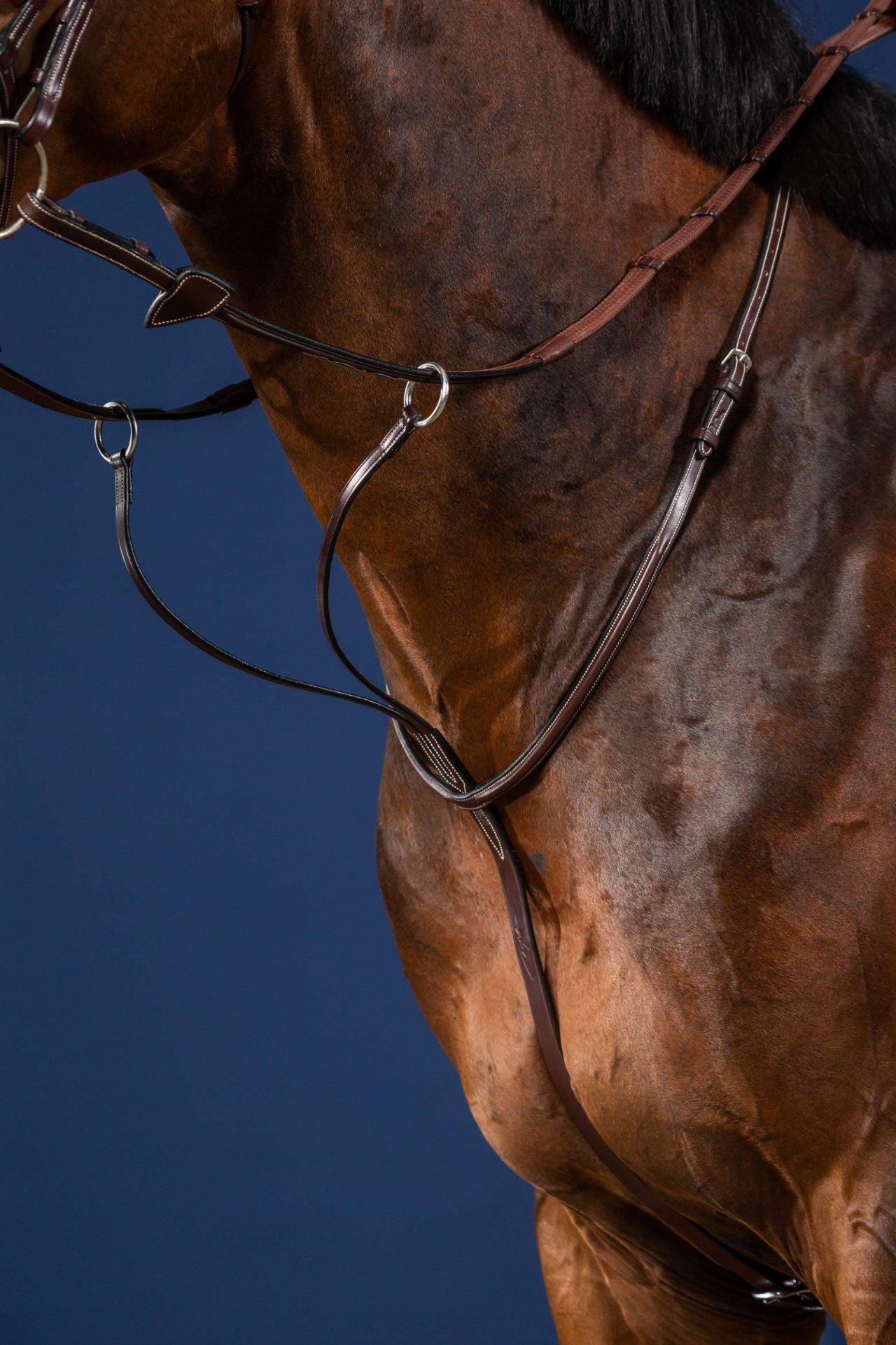 running martingale