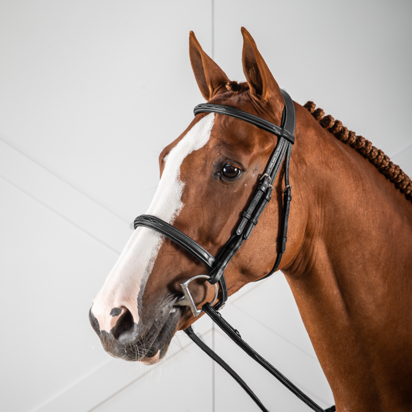Best hunter jumper bridle