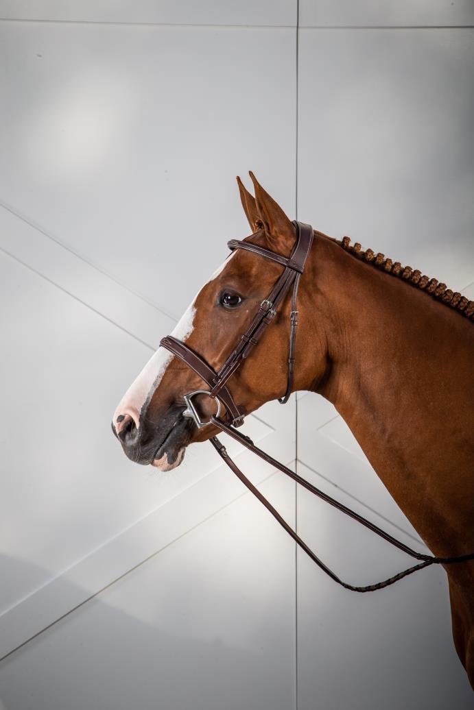 cavesson hunter noseband