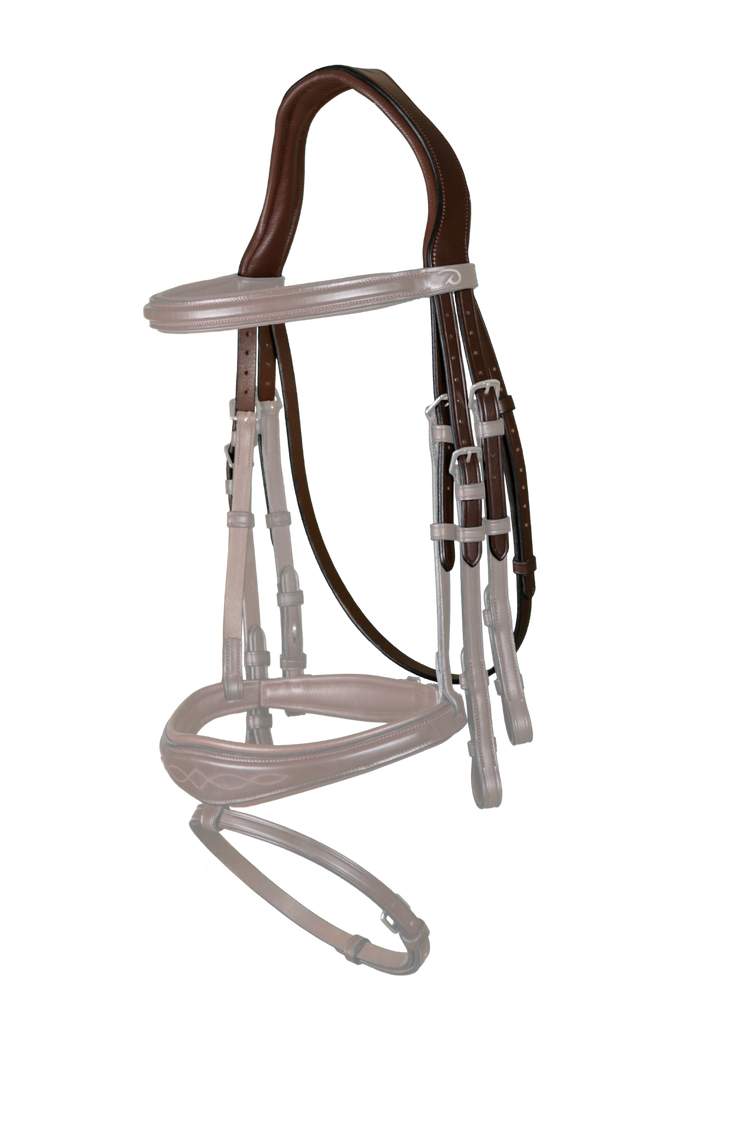 anatomic headpiece