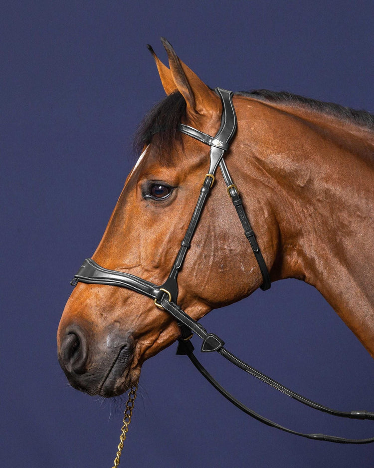 Cross pull bridle