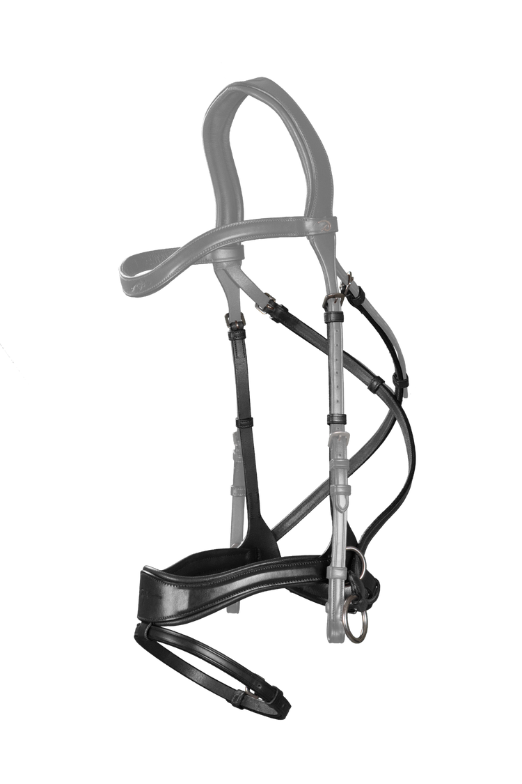 D motion noseband