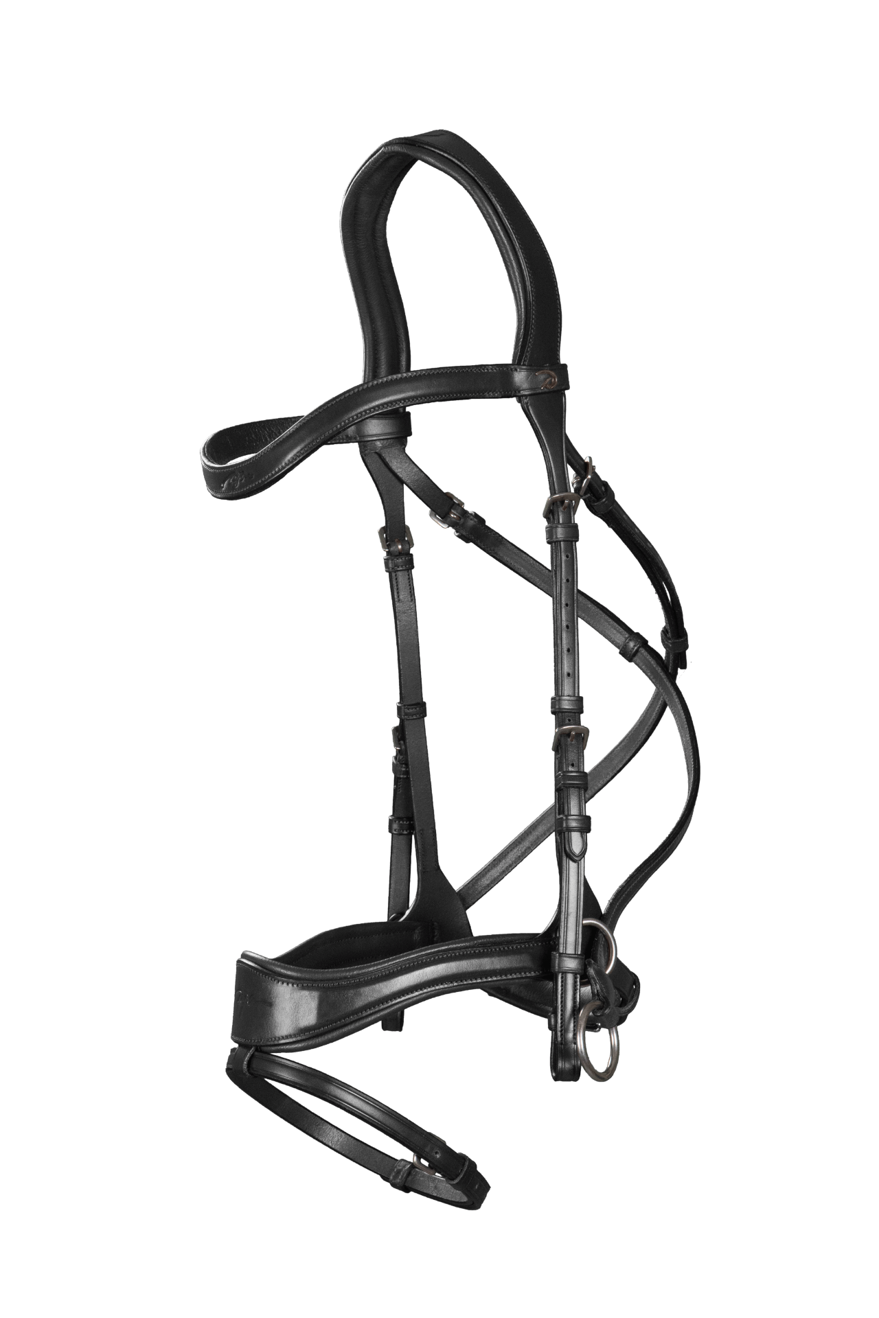 Side pull bridle with bit