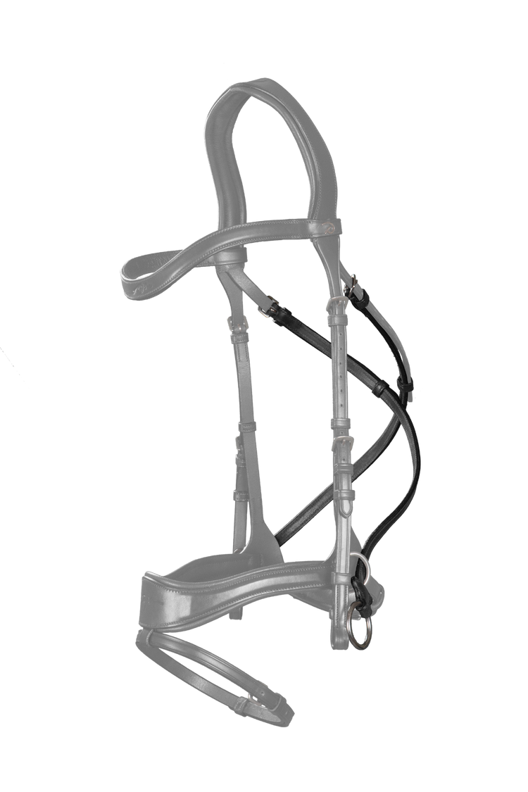 D motion bridle