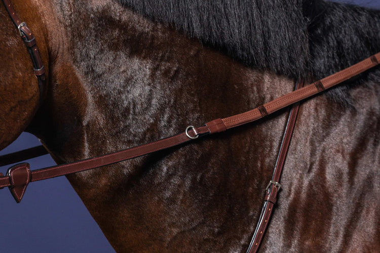 reins