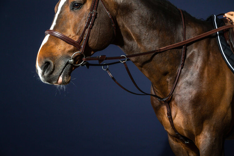 Running martingale