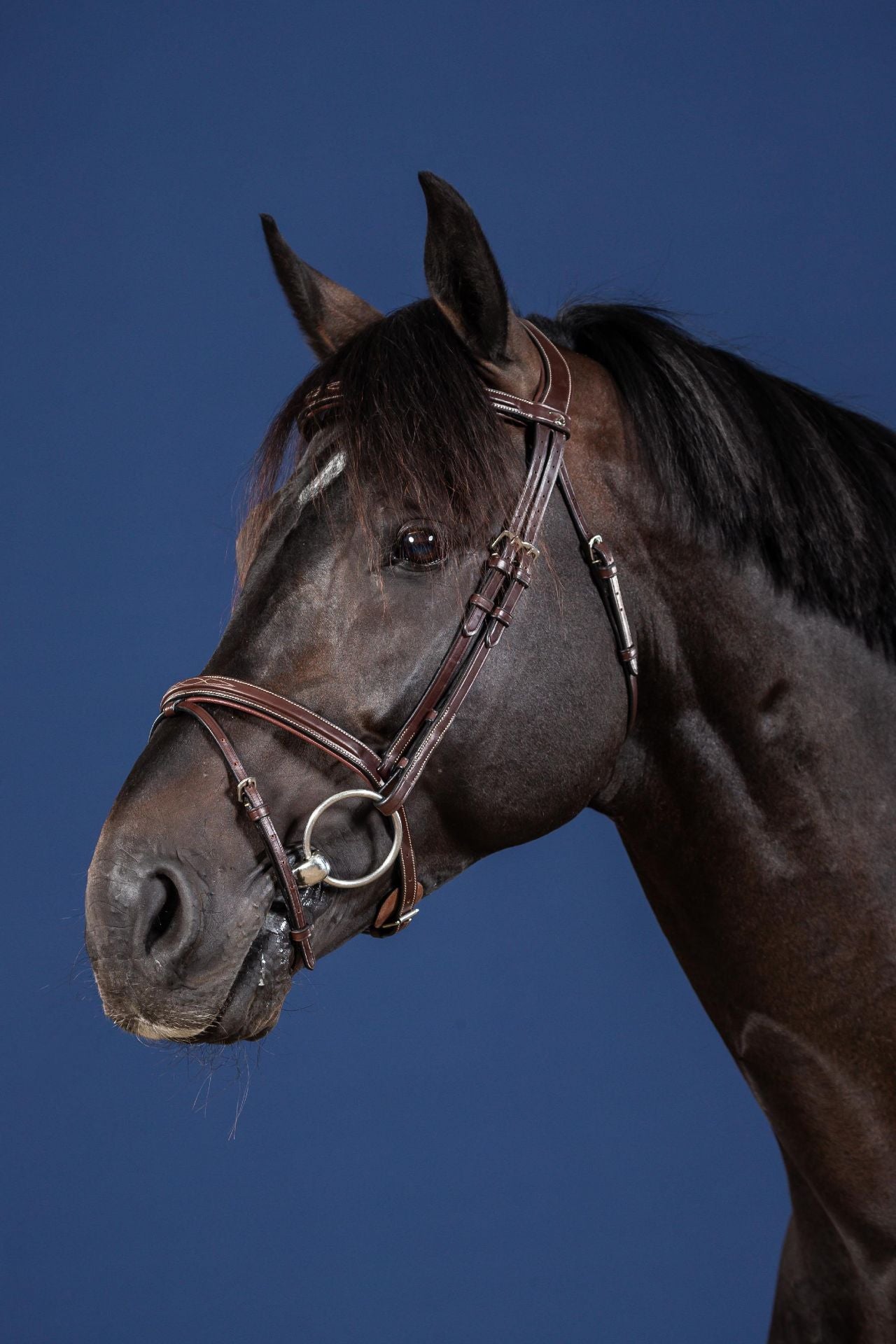 Fancy Stitch Flash Noseband Bridle