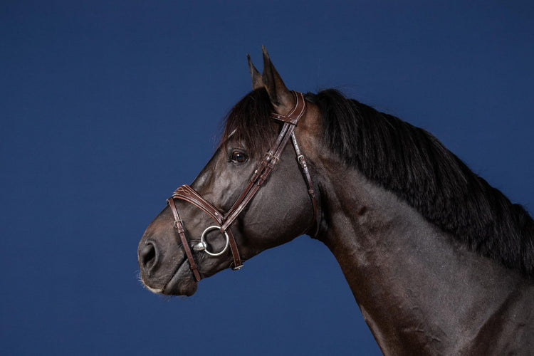 Anatomic Show Jumping Bridle