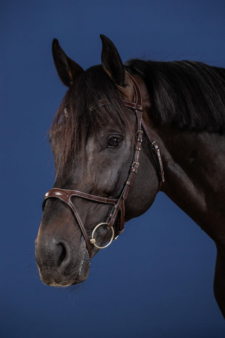 Micklem Bridle