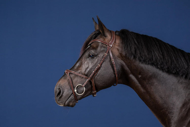 Best Anatomic Bridle for show jumping