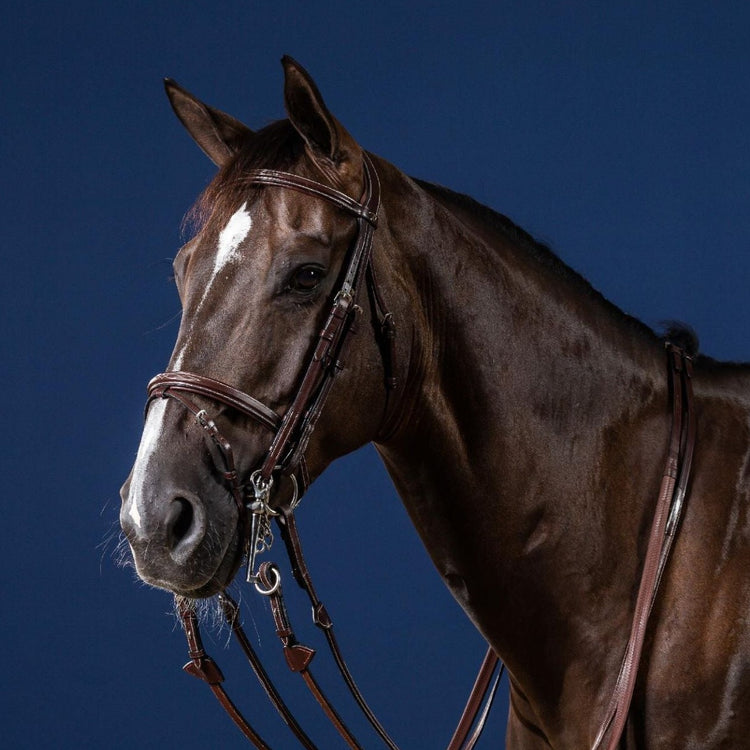 Double bridle for show jumping