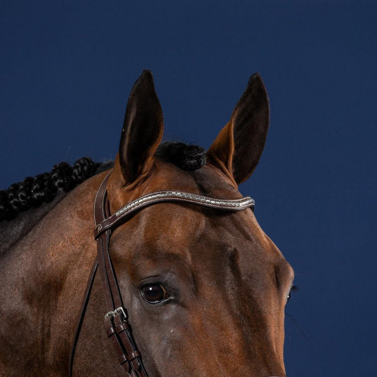 V shaped browband