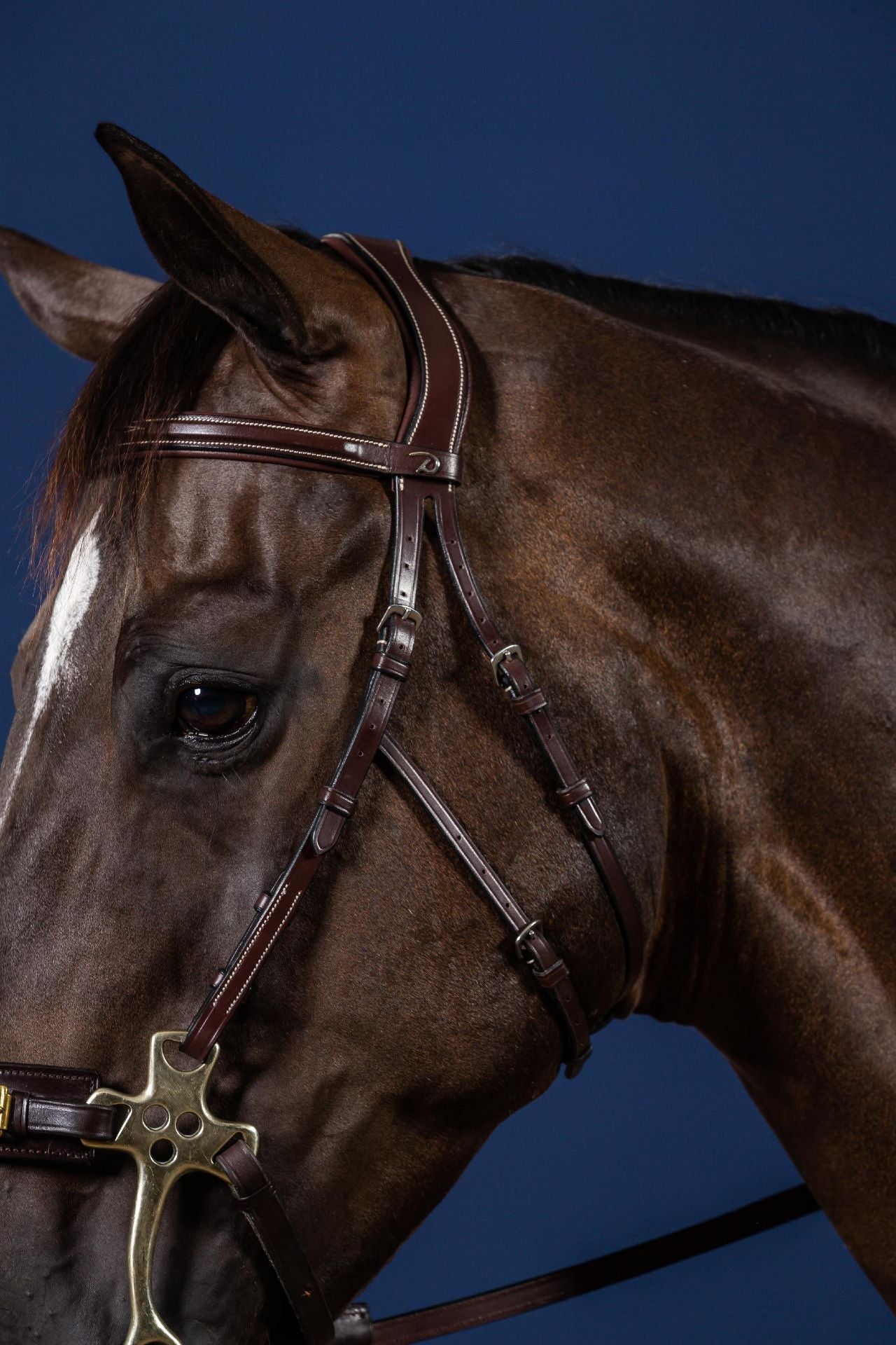 hackamore cheek pieces