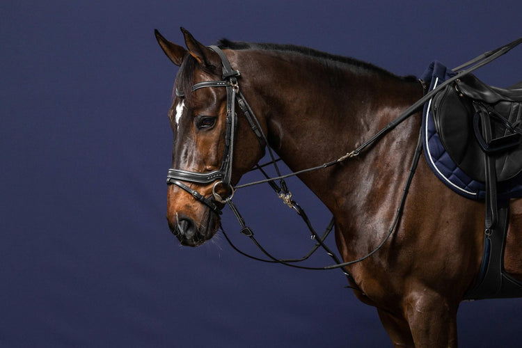 gogue reins