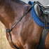 black breastplate Dy&