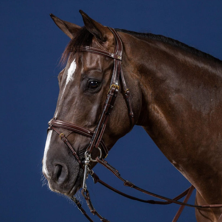 Double Bridle with removable flash strap