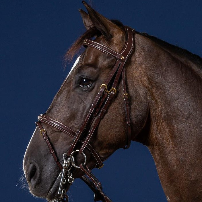 Double bridle for show jumping