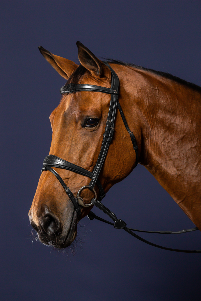 removable flash noseband bridle