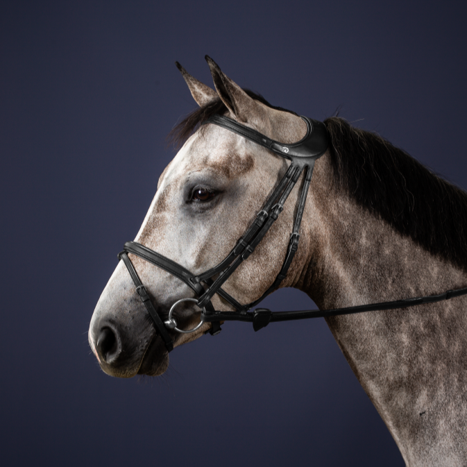 Bridle with poll clearance