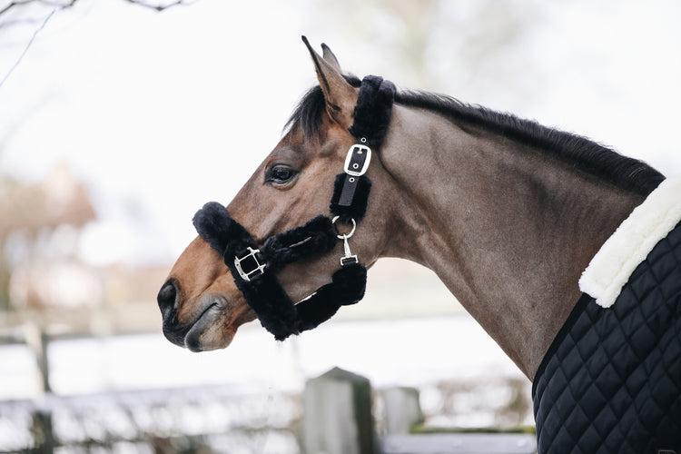 kentucky fake fur transport halter